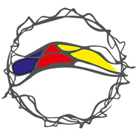 НейроГрафика — эмблема метода